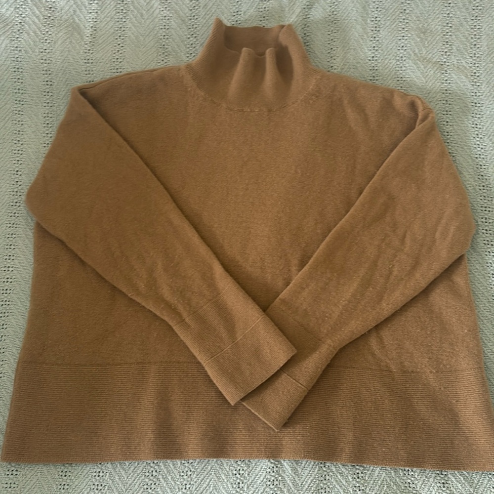 Everlane Boxy Cashmere Turtleneck Sweater